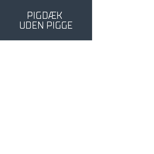 225/45R18 95H BRIDGESTONE NORANZA 001 XL