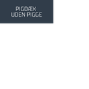 225/45R18 95H BRIDGESTONE NORANZA 001 XL